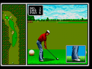 Arnold Palmer Tournament Golf 10