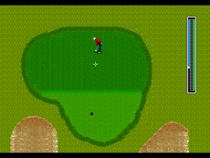 Arnold Palmer Tournament Golf 14