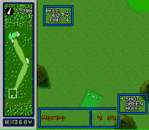 Hole in One Golf 03