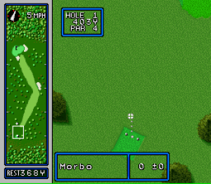 Hole in One Golf 08