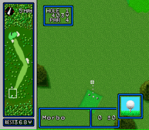 Hole in One Golf 09