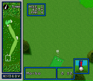 Hole in One Golf 11