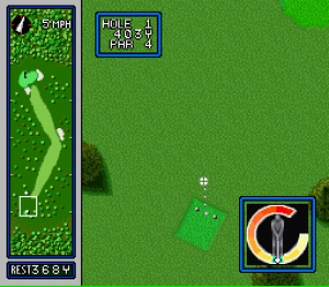 Hole in One Golf 12