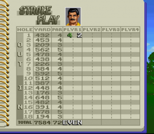 Irem Skins Game 11