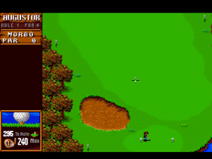Sensible Golf 06