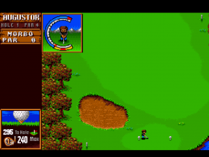 Sensible Golf 07