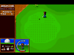 Sensible Golf 09
