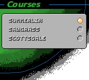 Tiger Woods PGA Tour 2000 05