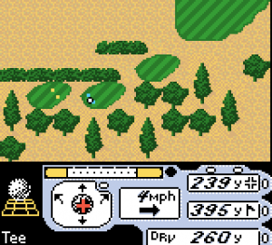 Tiger Woods PGA Tour 2000 12