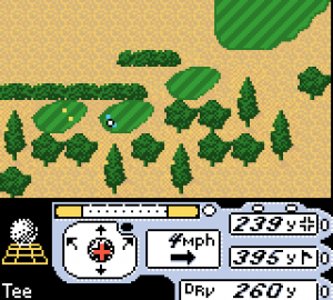 Tiger Woods PGA Tour 2000 13