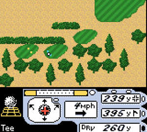 Tiger Woods PGA Tour 2000 14