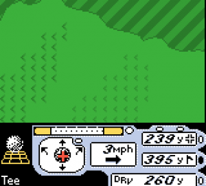 Tiger Woods PGA Tour 2000 15