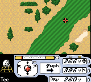 Tiger Woods PGA Tour 2000 17