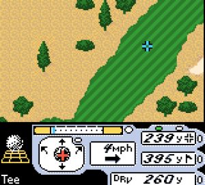 Tiger Woods PGA Tour 2000 18