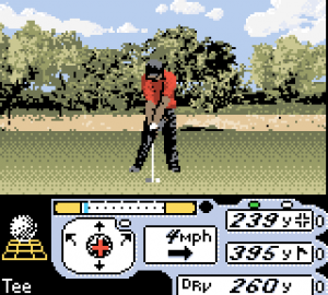 Tiger Woods PGA Tour 2000 20