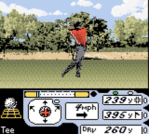 Tiger Woods PGA Tour 2000 21
