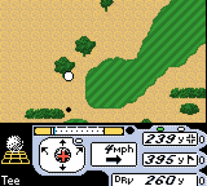 Tiger Woods PGA Tour 2000 22