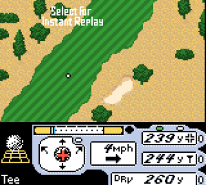 Tiger Woods PGA Tour 2000 23