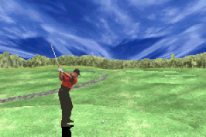 Tiger Woods PGA Tour Golf 10