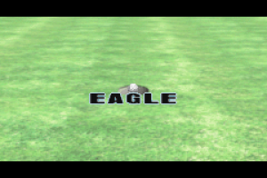 Tiger Woods PGA Tour Golf 15