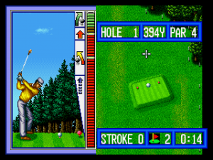 Top Player's Golf 12