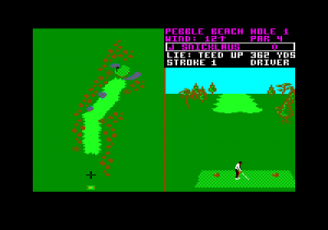 World Tour Golf 02