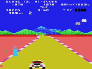 Safari Race 17