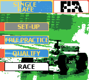 F-1 Racing Championship 08