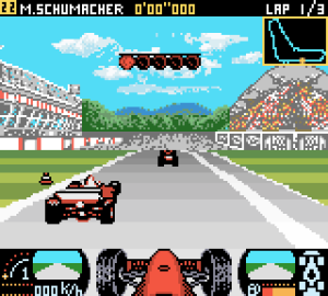 F-1 Racing Championship 41