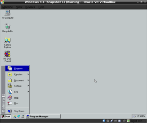 Windows 3.1 3
